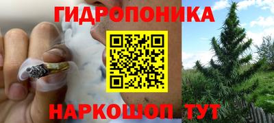 таблы Лесосибирск