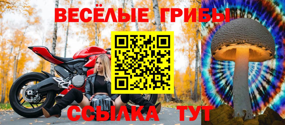 Галлюциногенные грибы GOLDEN TEACHER  Вход с VPN  Чапаевск 