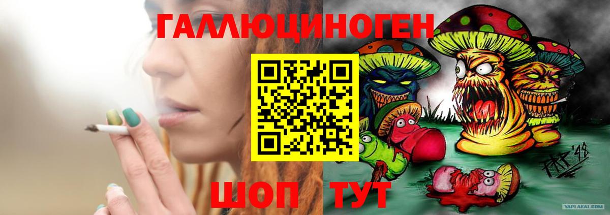 Псилоцибиновые грибы Psilocybine cubensis Чапаевск