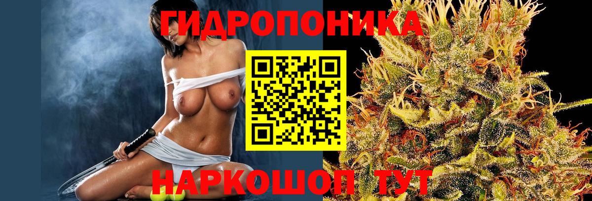 Конопля THC 21%  Вход с VPN  Каннабис Bruce Banner  МАРИХУАНА OG Kush  Каннабис VHQ  Чапаевск 